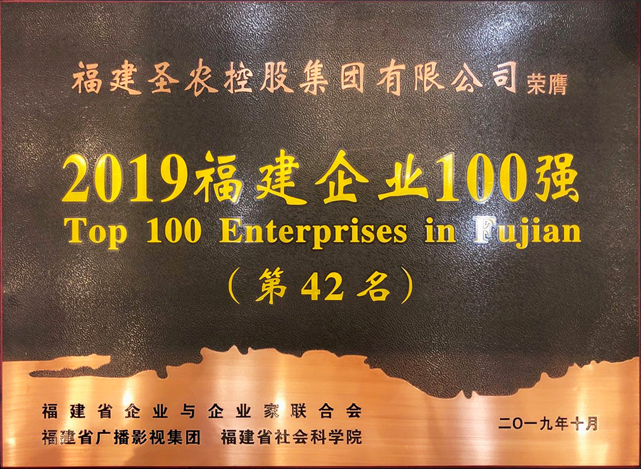 2019（国民彩票集团）福建企业100强